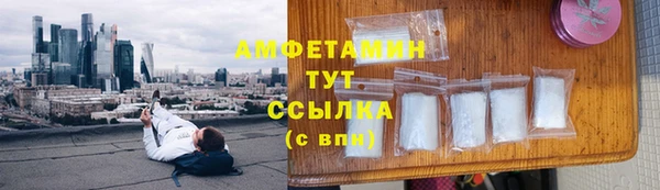 винт Алзамай