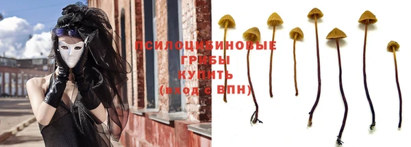 винт Алзамай