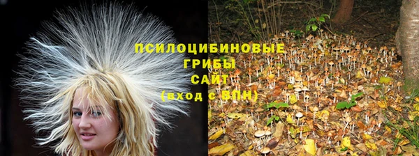 индика Алексеевка