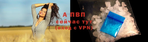 винт Алзамай
