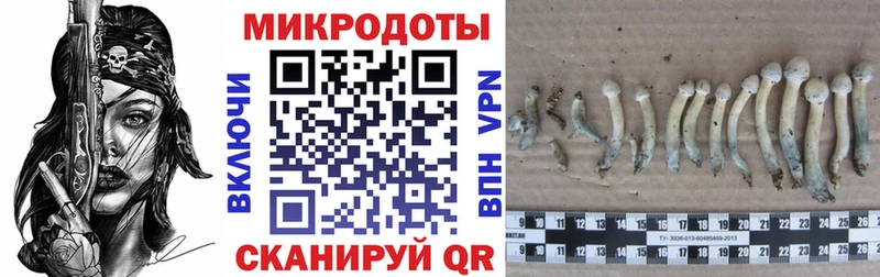мега рабочий сайт  маркетплейс официальный сайт  Псилоцибиновые грибы Cubensis  Чёрмоз 